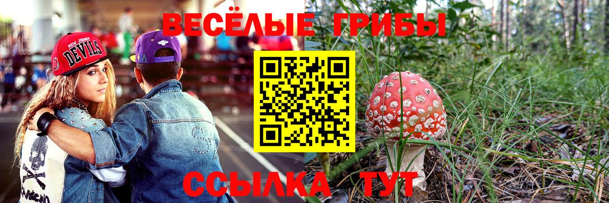 Барабинск  Галлюциногенные грибы Cubensis  Вход с VPN 