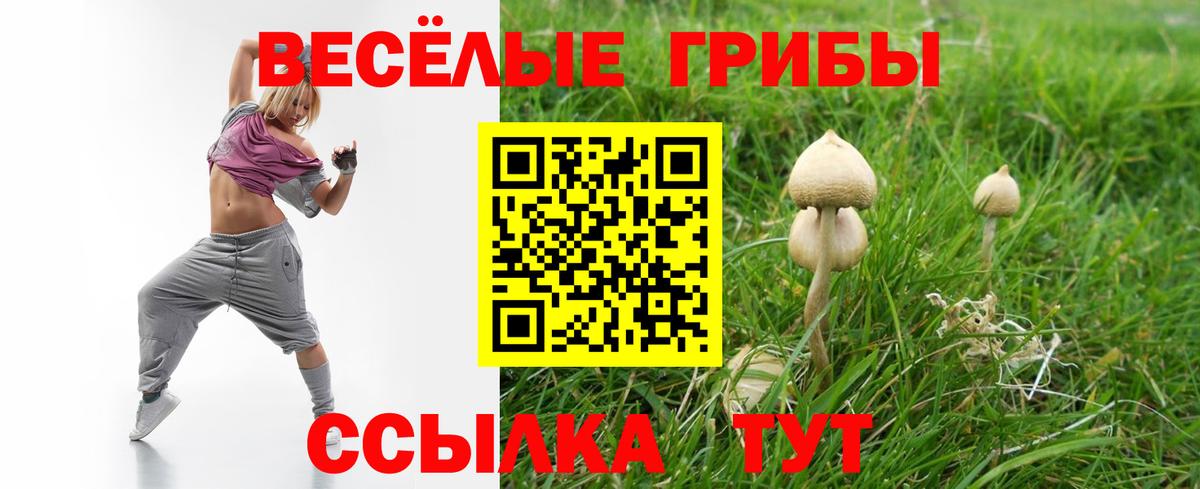 Галлюциногенные грибы GOLDEN TEACHER Барабинск